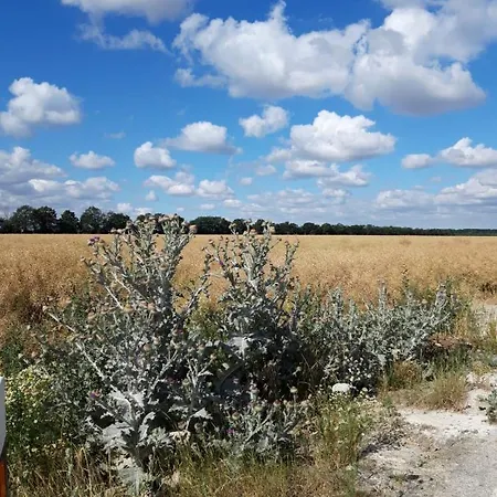 아파트 Loberblick 라크위츠